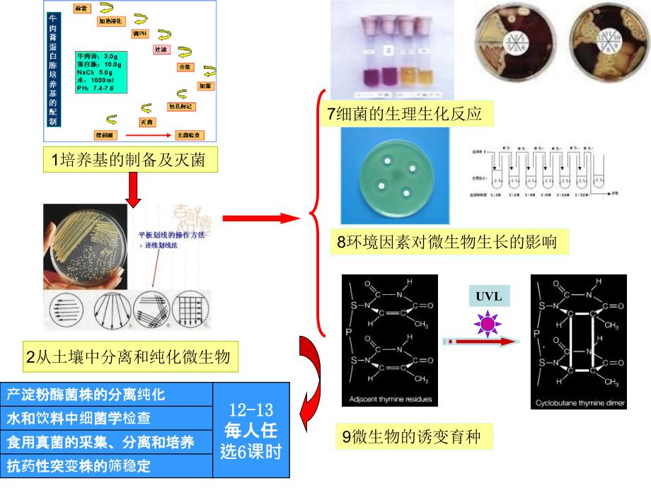 微生物学教学讨论PPT课件_第3页