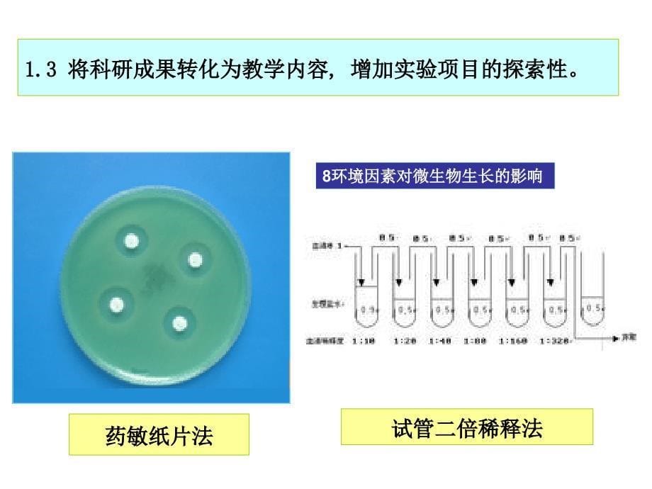 微生物学教学讨论PPT课件_第5页