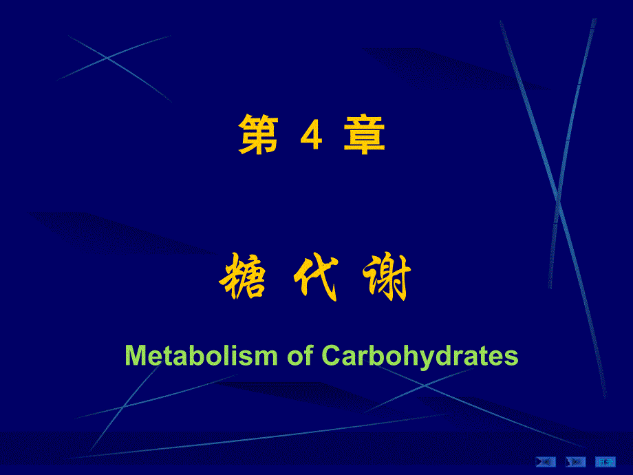 生物化学：4糖代谢_第1页