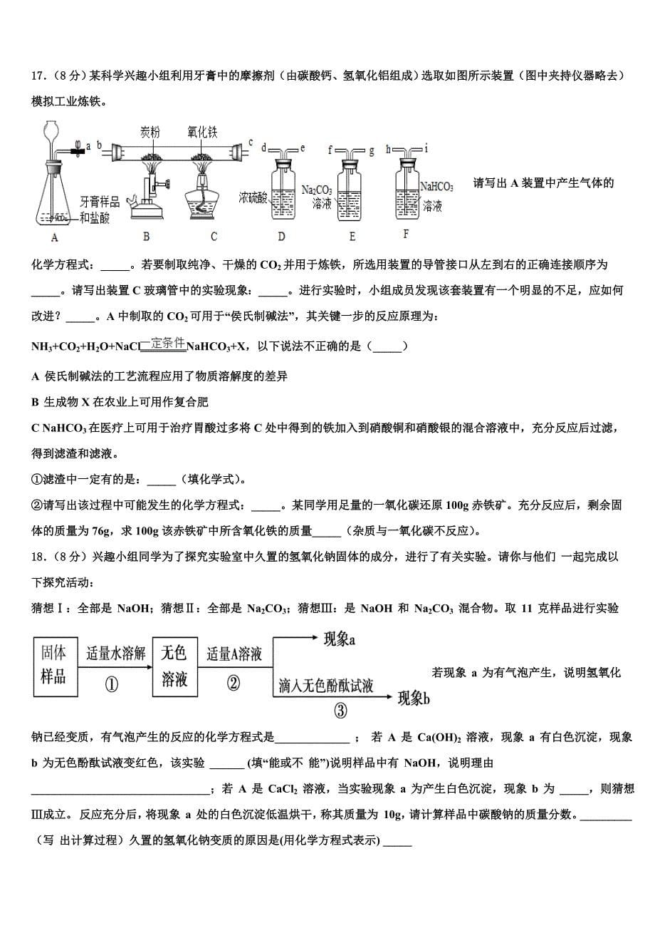 南开中学初重点达标名校2023学年初中化学毕业考试模拟冲刺卷（含答案解析）.doc_第5页