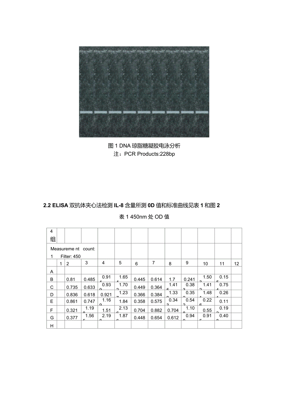 人重组白细胞介素8在大肠杆菌的表达鉴定_第4页