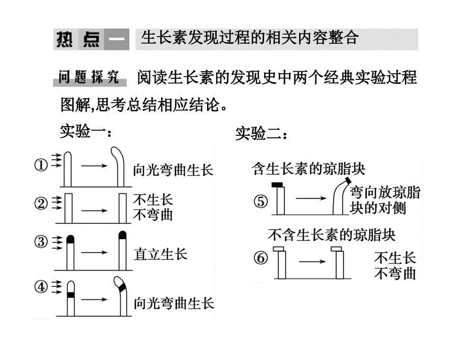 高考生物专题讲座植物的激素调节_第5页