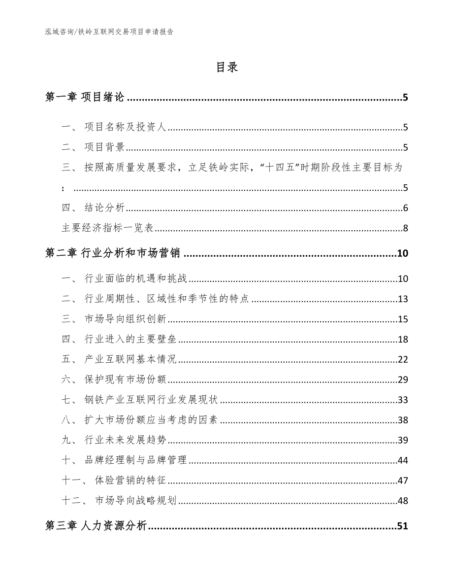 铁岭互联网交易项目申请报告（范文参考）_第1页