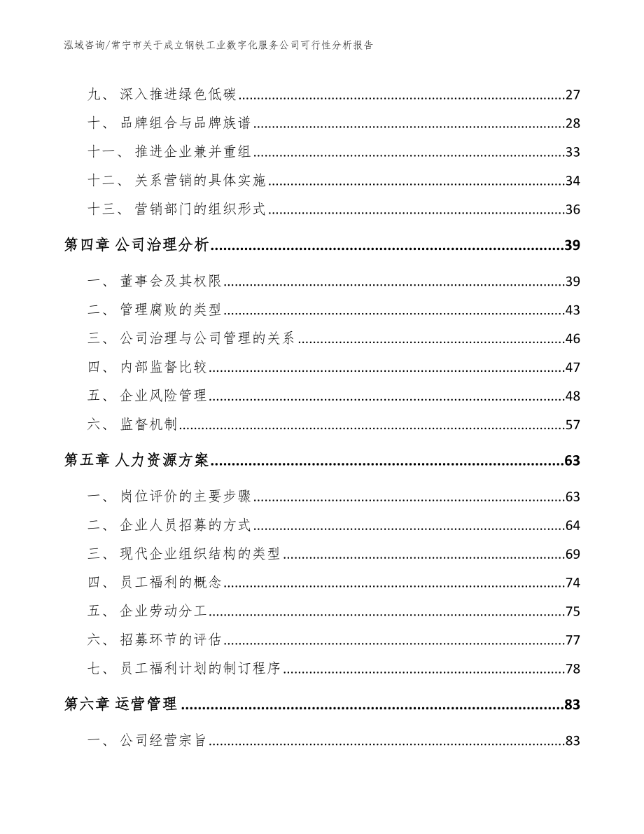 常宁市关于成立钢铁工业数字化服务公司可行性分析报告模板范文_第3页