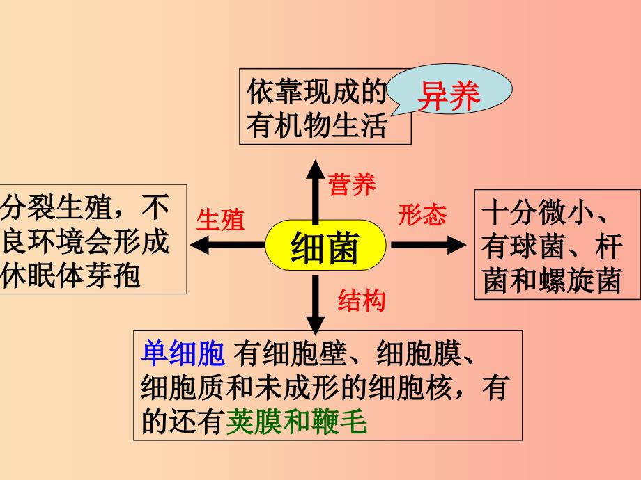 八年级生物上册 5.4.3《真菌》课件3 新人教版.ppt_第3页