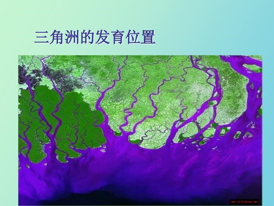 角洲与河口湾地貌_第5页