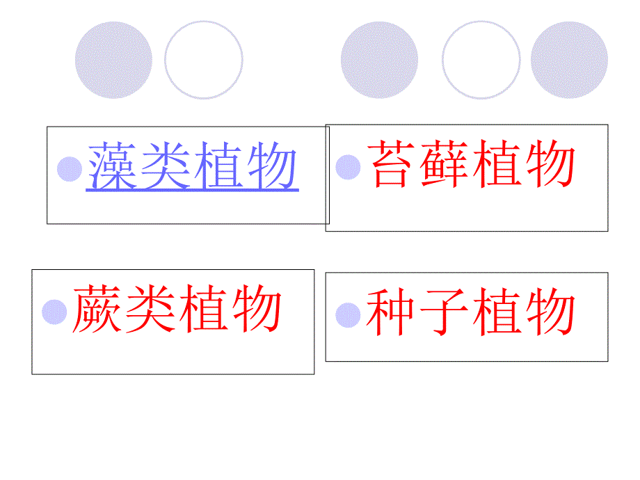 五彩缤纷的植物世界八年级_第4页