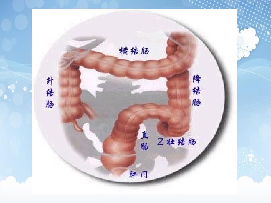 肛管直肠疾病课件_第4页