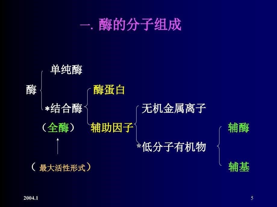 教学课件第六章酶Enzyme_第5页