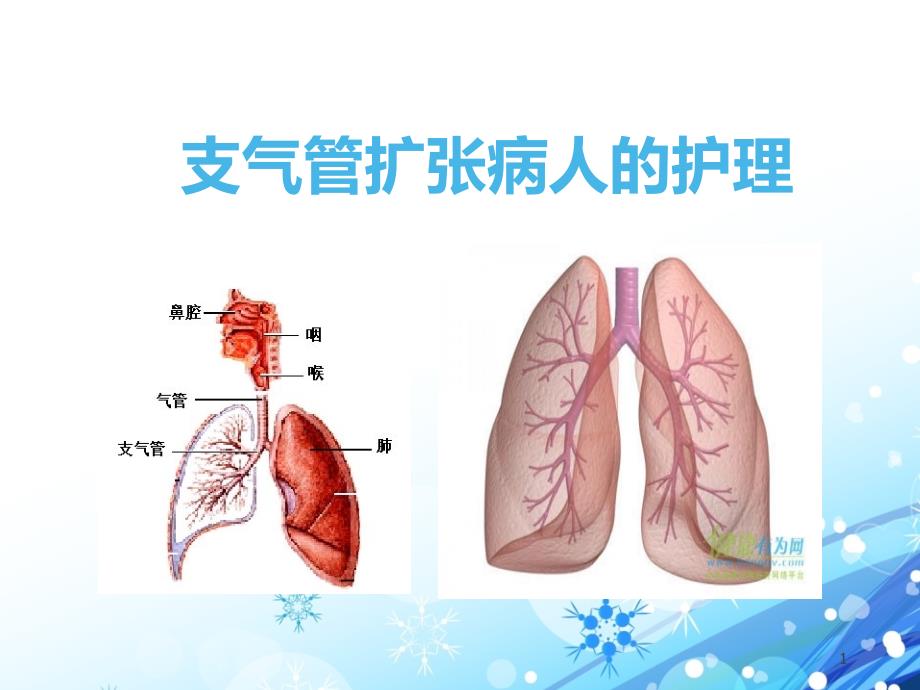 （精选课件）支气管扩张病人的护理_第1页