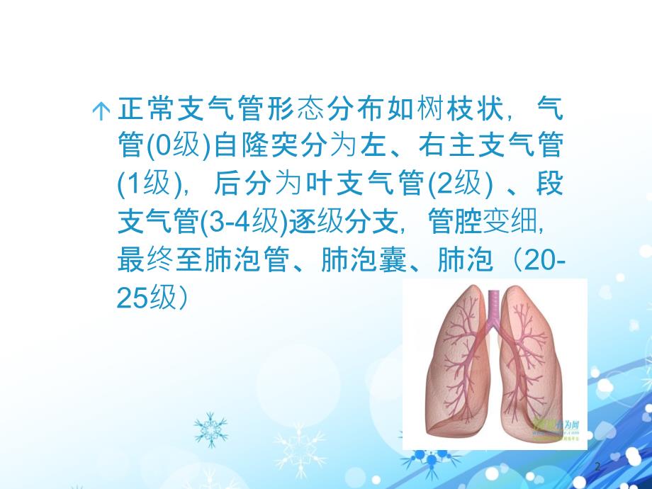 （精选课件）支气管扩张病人的护理_第2页