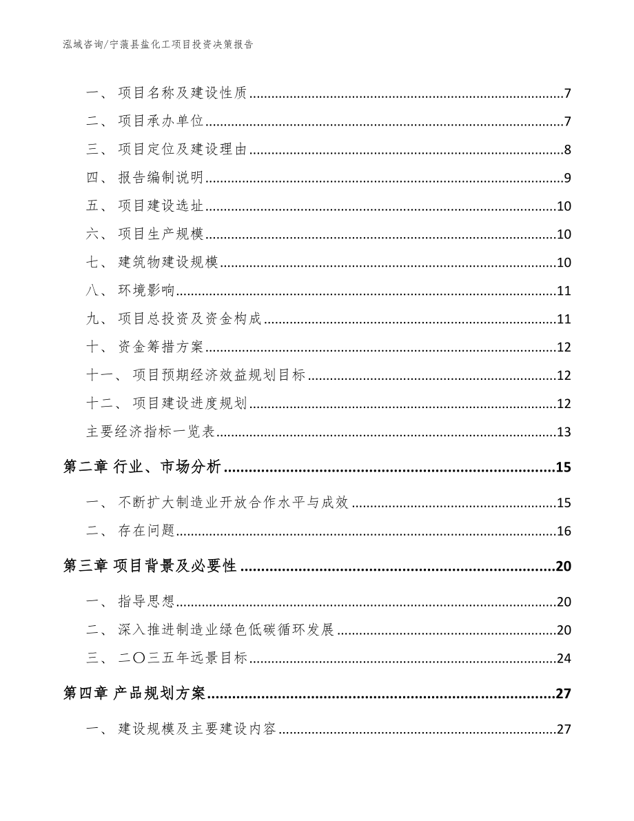 宁蒗县盐化工项目投资决策报告_第2页