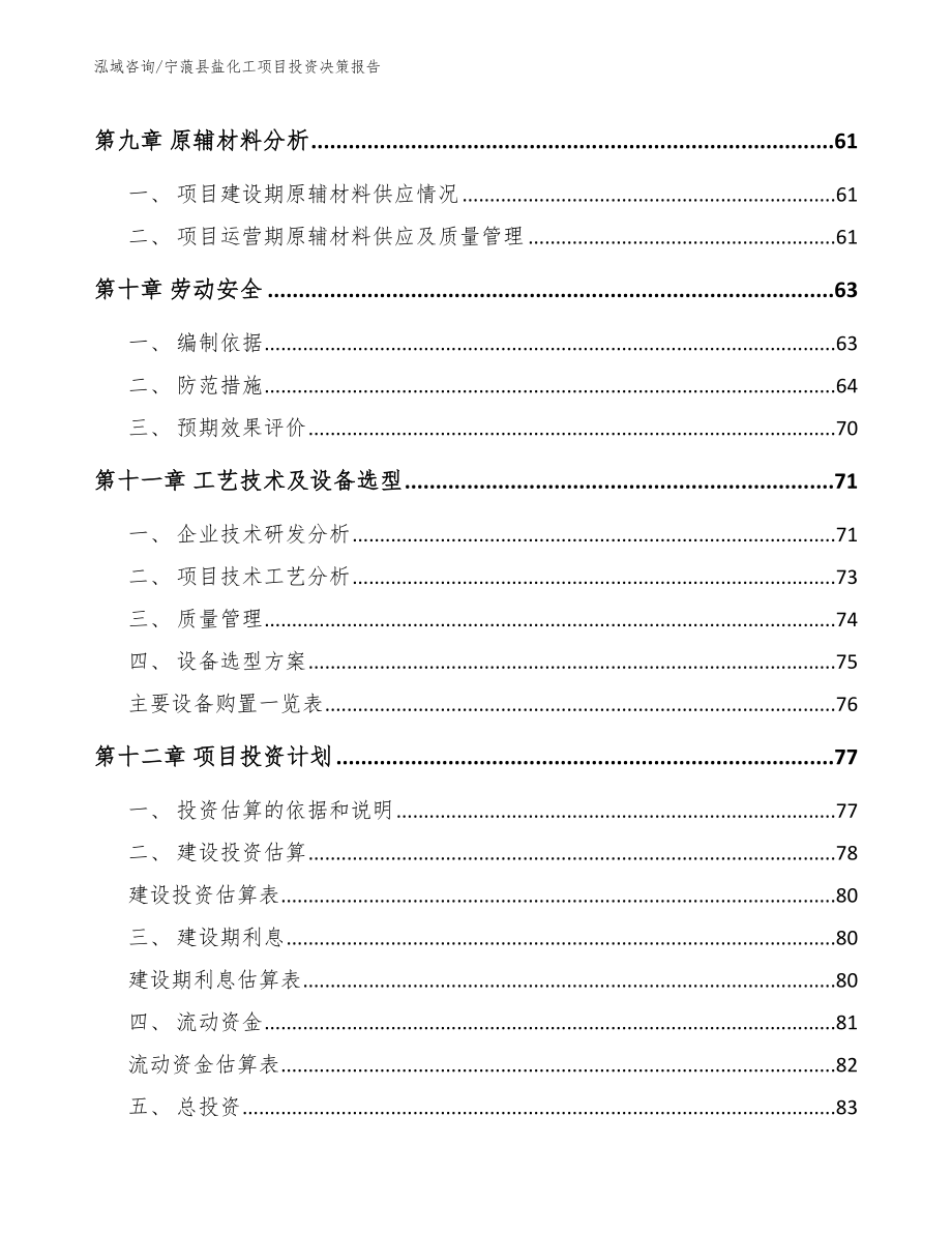 宁蒗县盐化工项目投资决策报告_第4页