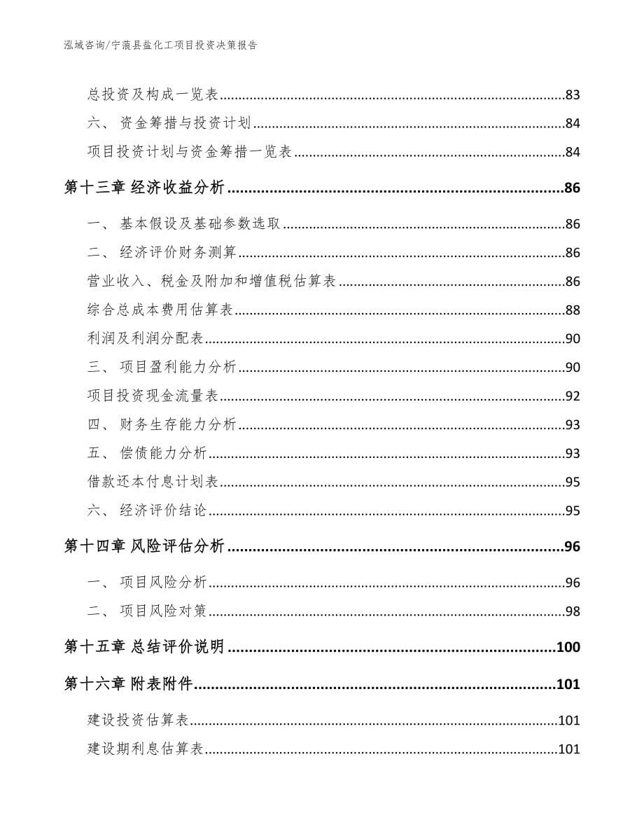 宁蒗县盐化工项目投资决策报告_第5页