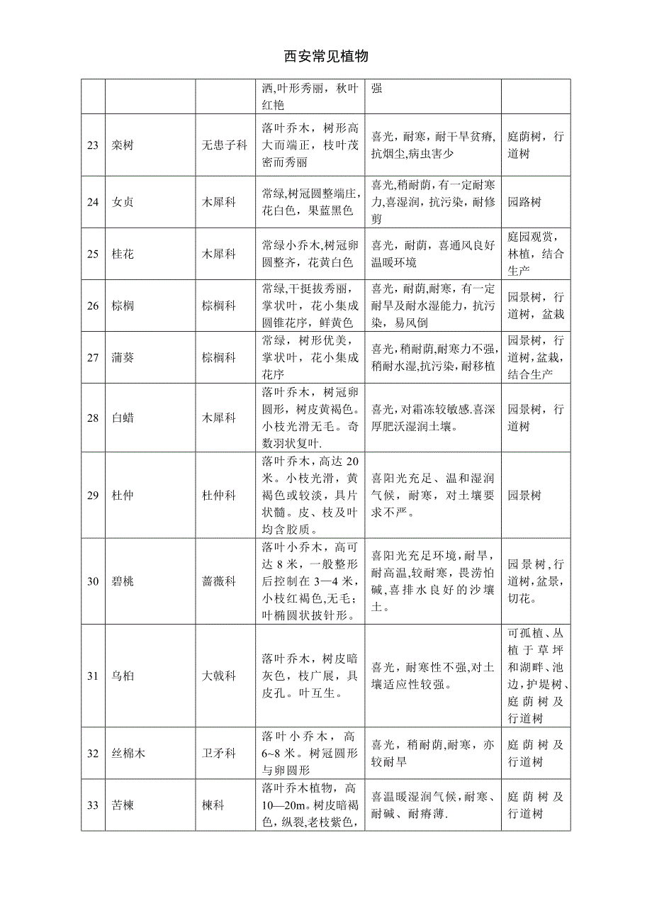 西安常见植物_第3页