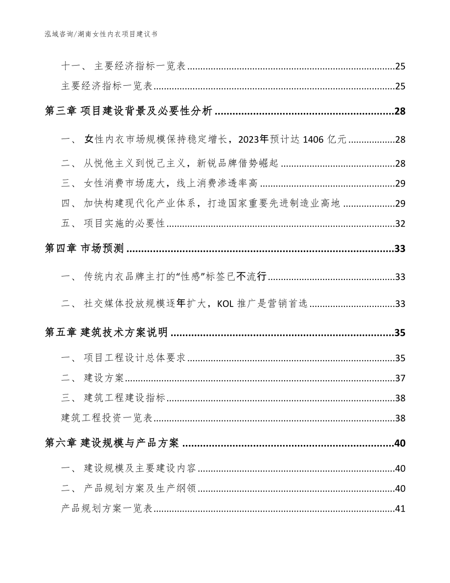 湖南女性内衣项目建议书（模板范本）_第2页