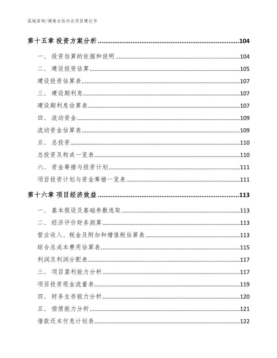 湖南女性内衣项目建议书（模板范本）_第5页