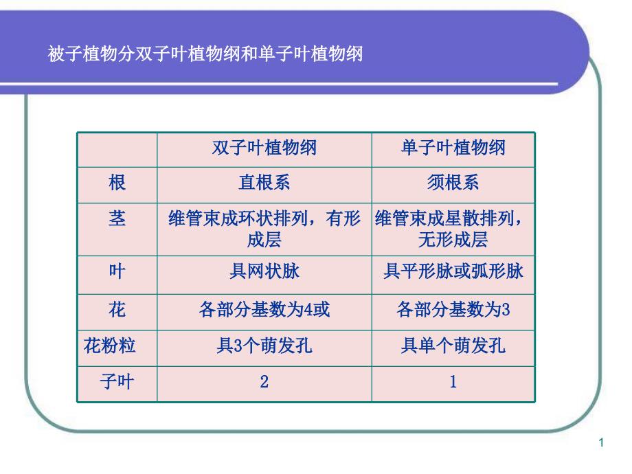 被子植物类生药杜仲科蓼科课件_第1页