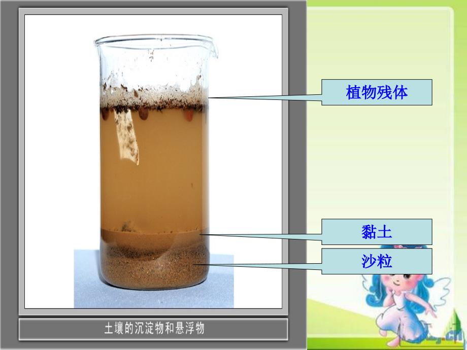 土壤有什么正式稿_第4页