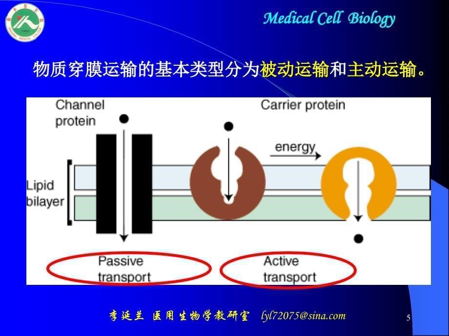 细胞膜与物质的跨膜转运_第5页