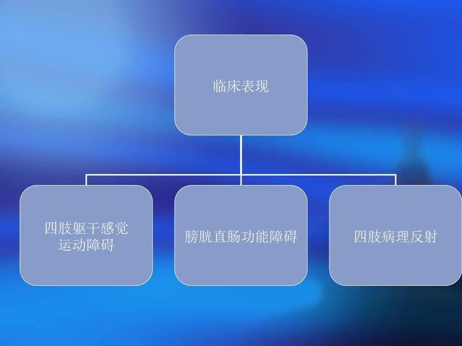 后纵韧带骨化症PPT课件_第5页