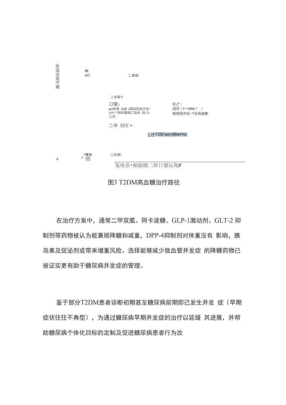 以糖尿病并发症为中心的糖尿病分级管理策略要点_第5页