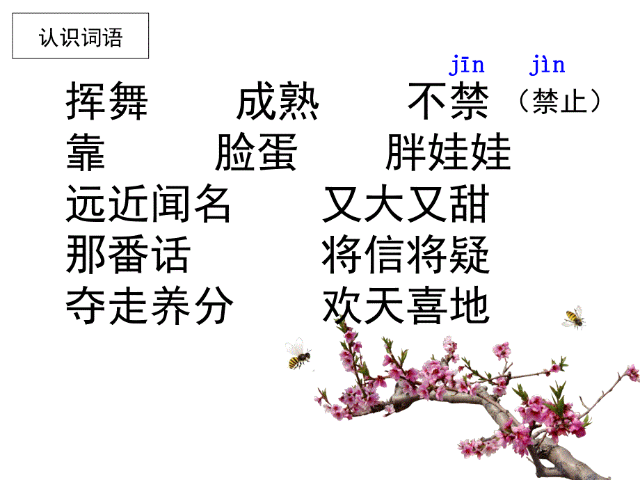 苏教版三下26《剪枝的学问》_第3页