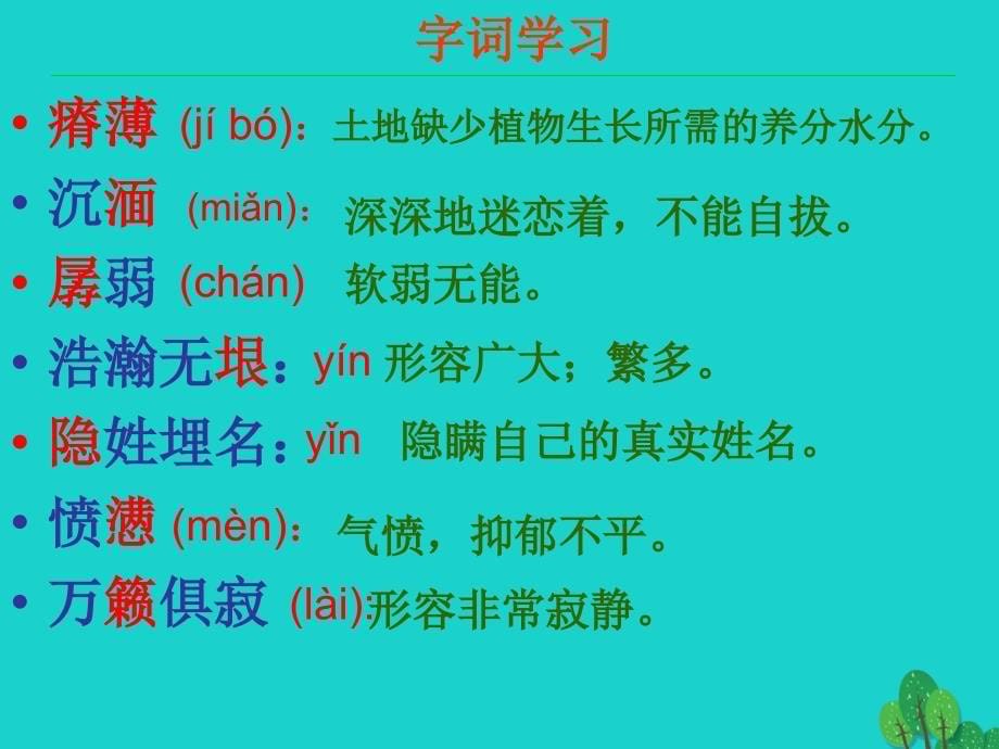 安徽省合肥市育英学校九年级语文下册 第三单元 第11课《地下森林断想》课件 新人教_第5页