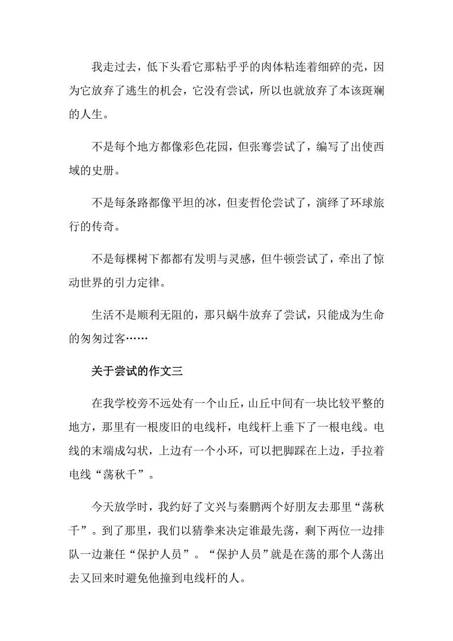 以尝试为话题的作文700字高一尝试作文五篇精选_第5页