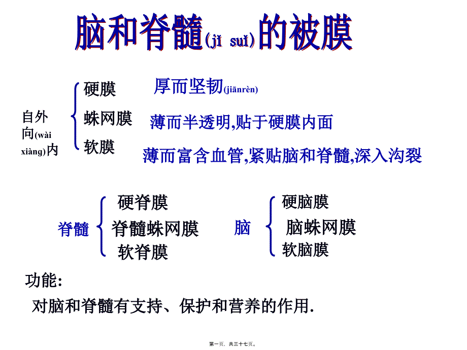 医学专题—第九章脑和脊髓的被膜、脑脊液和血管4501_第1页