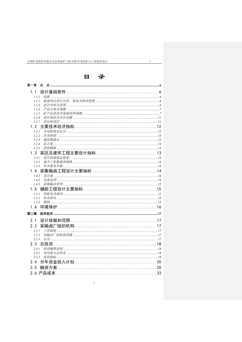 盐矿120万吨年采卤矿山工程初步设计及建设项目可行性建议书.doc_第1页