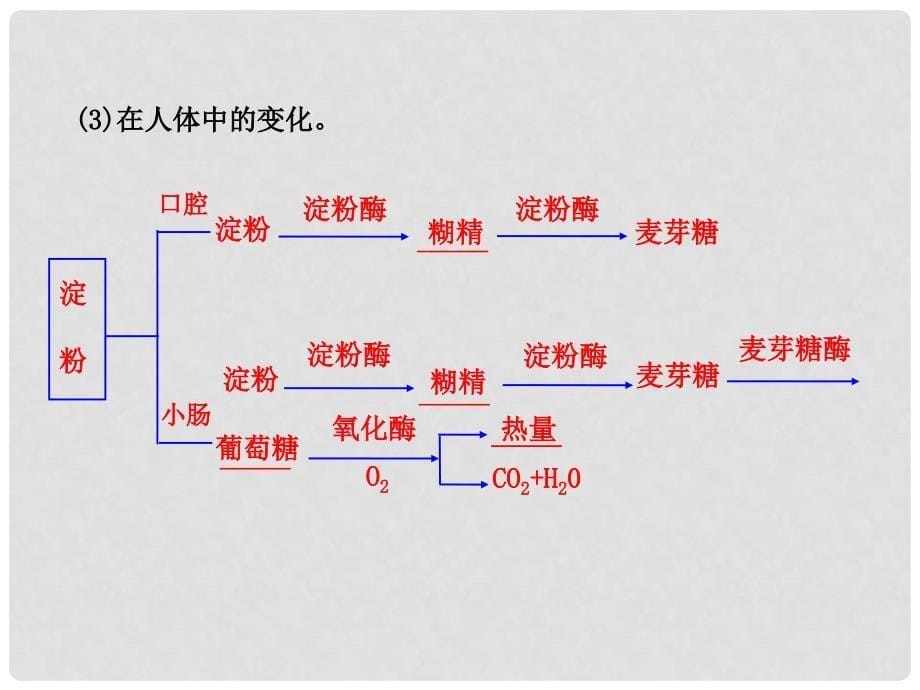 高中化学 2.1 食物中的营养素课件 鲁科版选修1_第5页