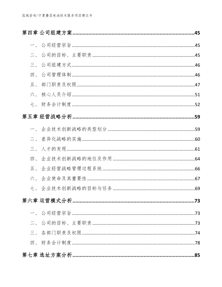 宁夏叠层电池技术服务项目建议书_第2页