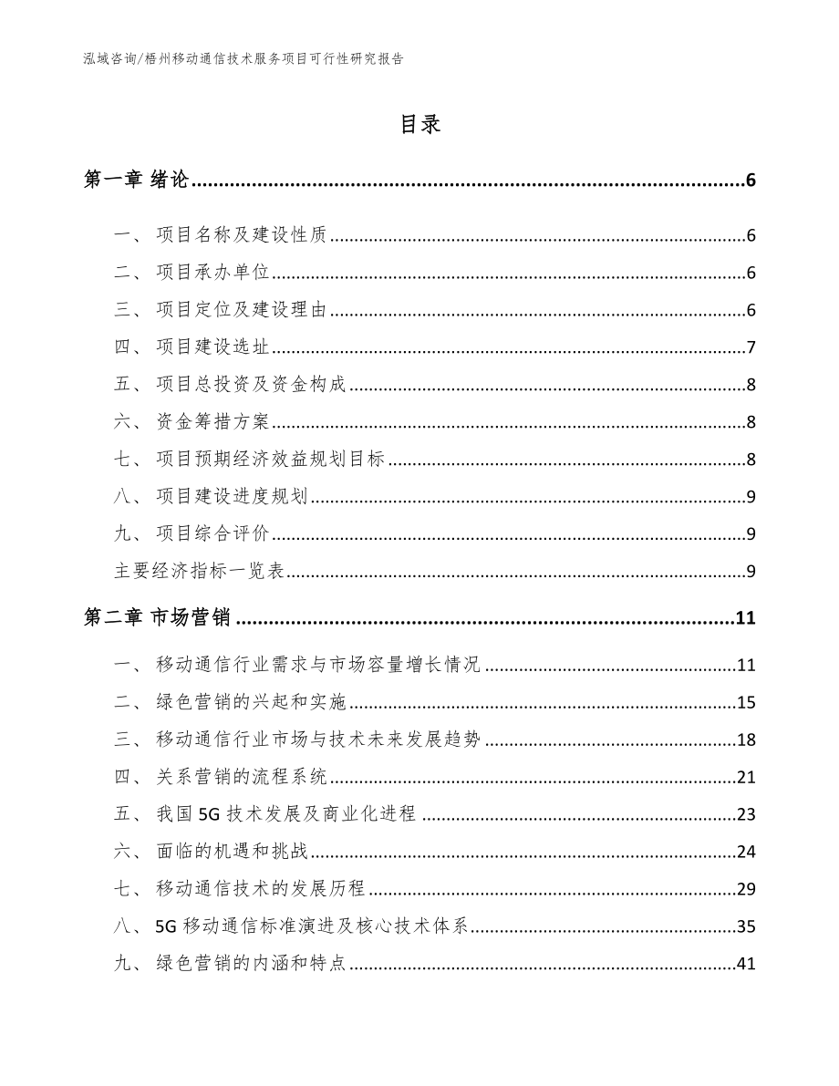 梧州移动通信技术服务项目可行性研究报告_第1页