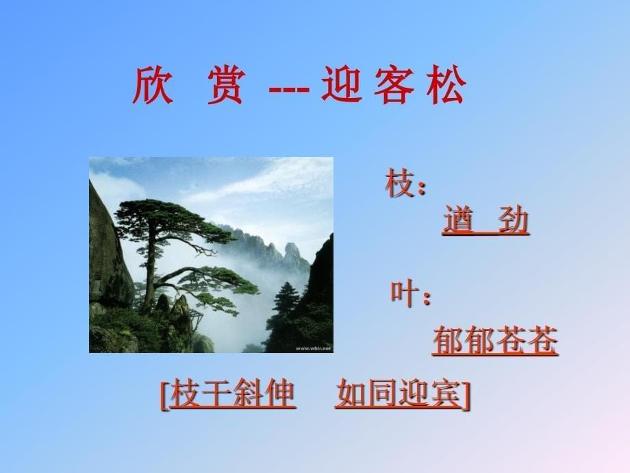 四年级语文黄山奇松_第5页