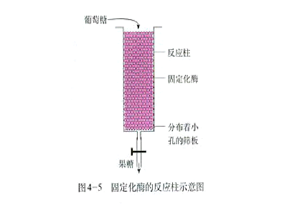 课题2月季的花药培养课件_第4页