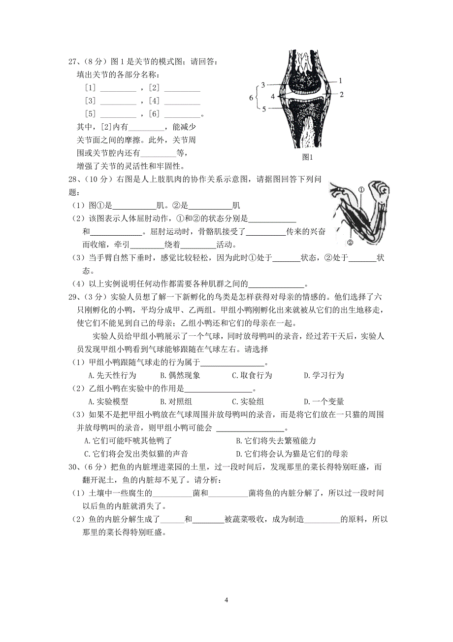 北师大版生物八年级上册期中试卷_第4页