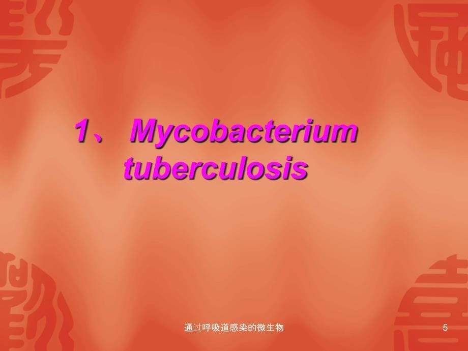 通过呼吸道感染的微生物课件_第5页