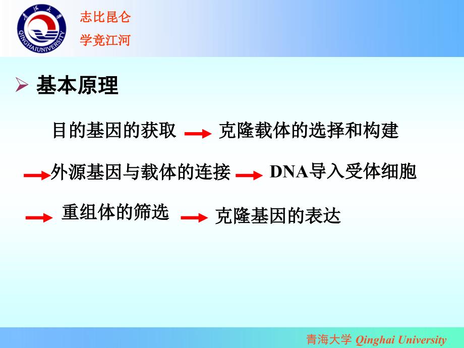 实验四PCR产物的T载体克隆和转化高教课堂_第3页