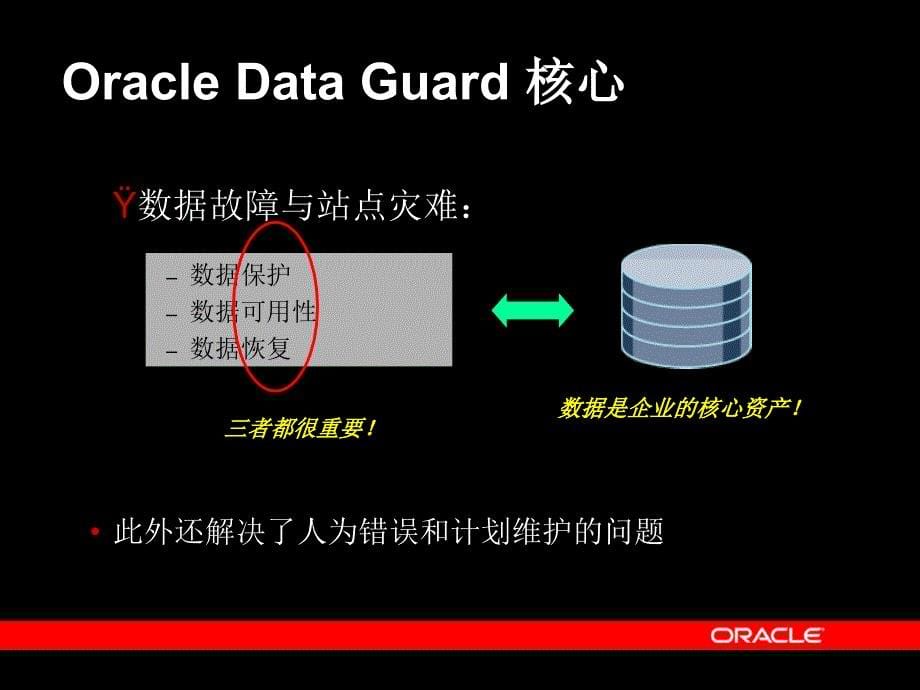 Oracle容灾解决方案谷风详析_第5页