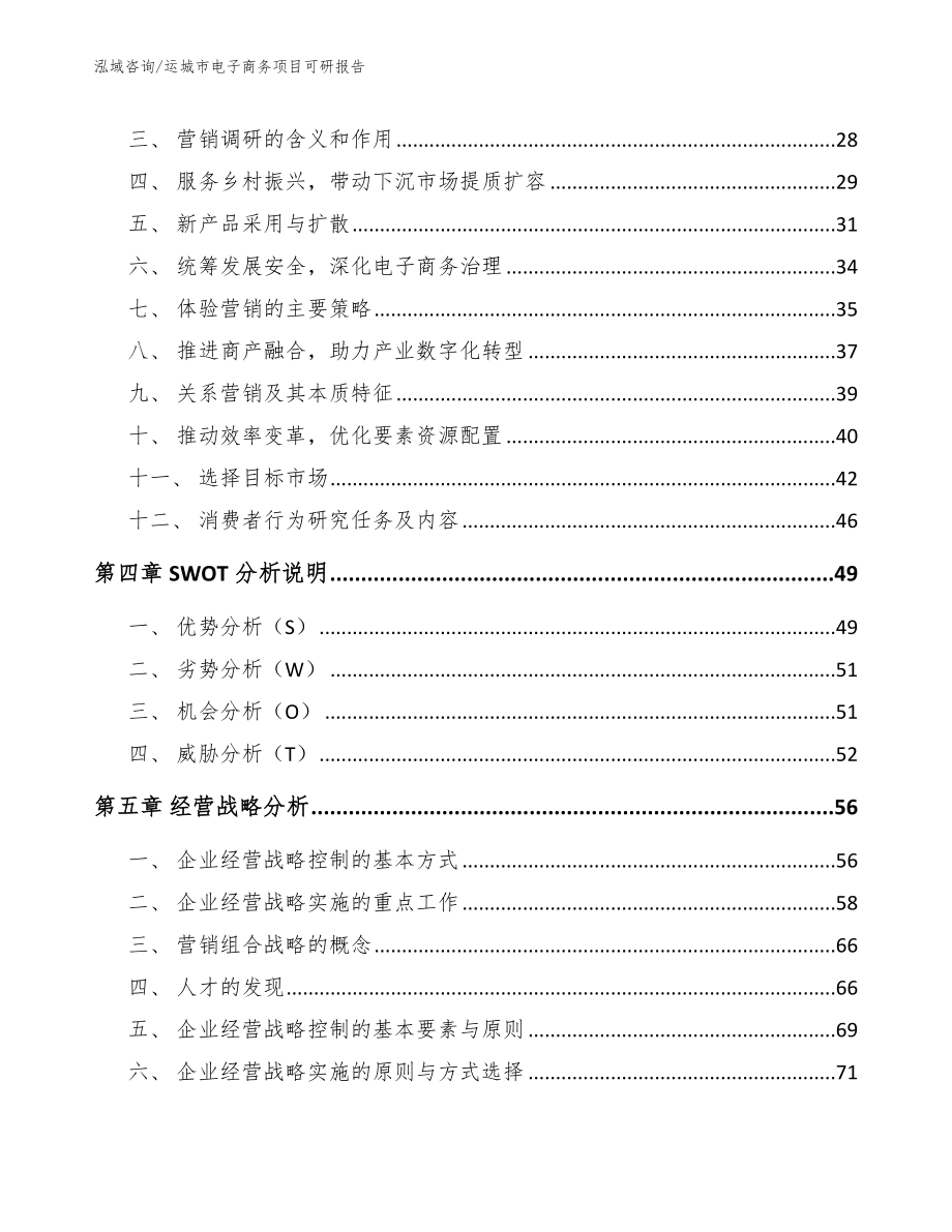 运城市电子商务项目可研报告范文模板_第3页