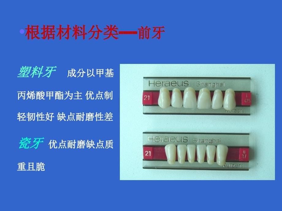 人工牙的排列教学文案_第5页