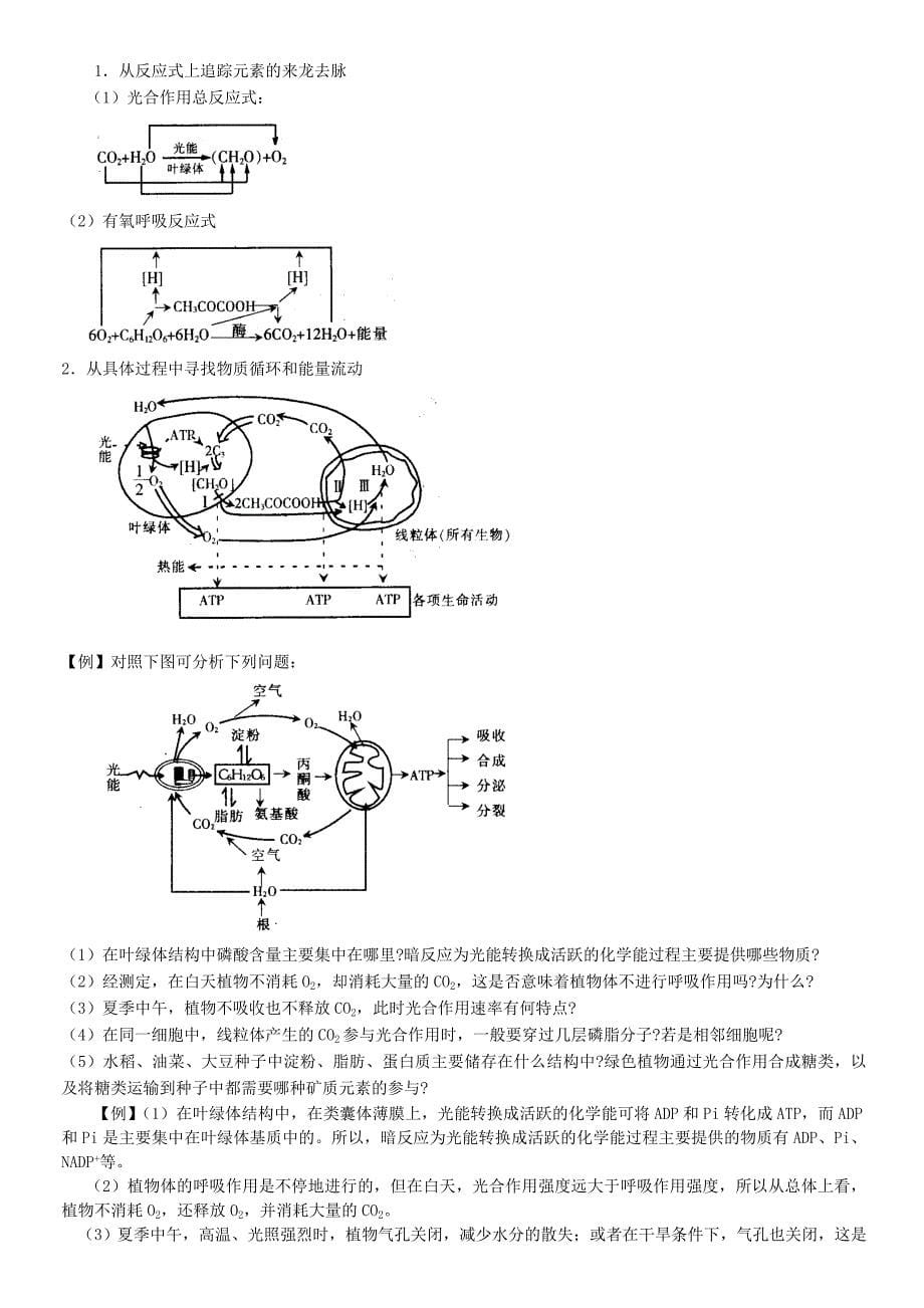 必修1j教学思考和备考研究.doc_第5页