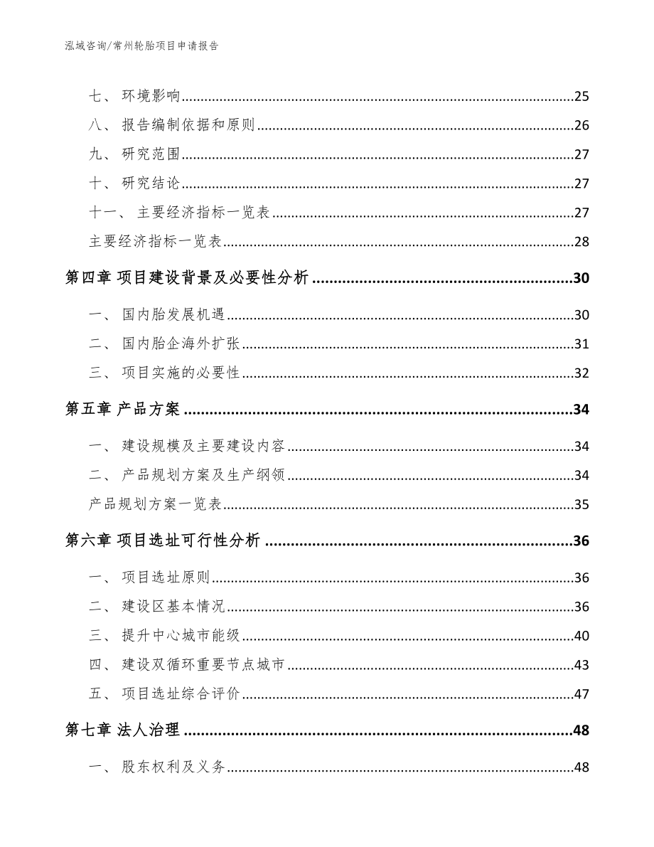 常州轮胎项目申请报告_范文参考_第2页