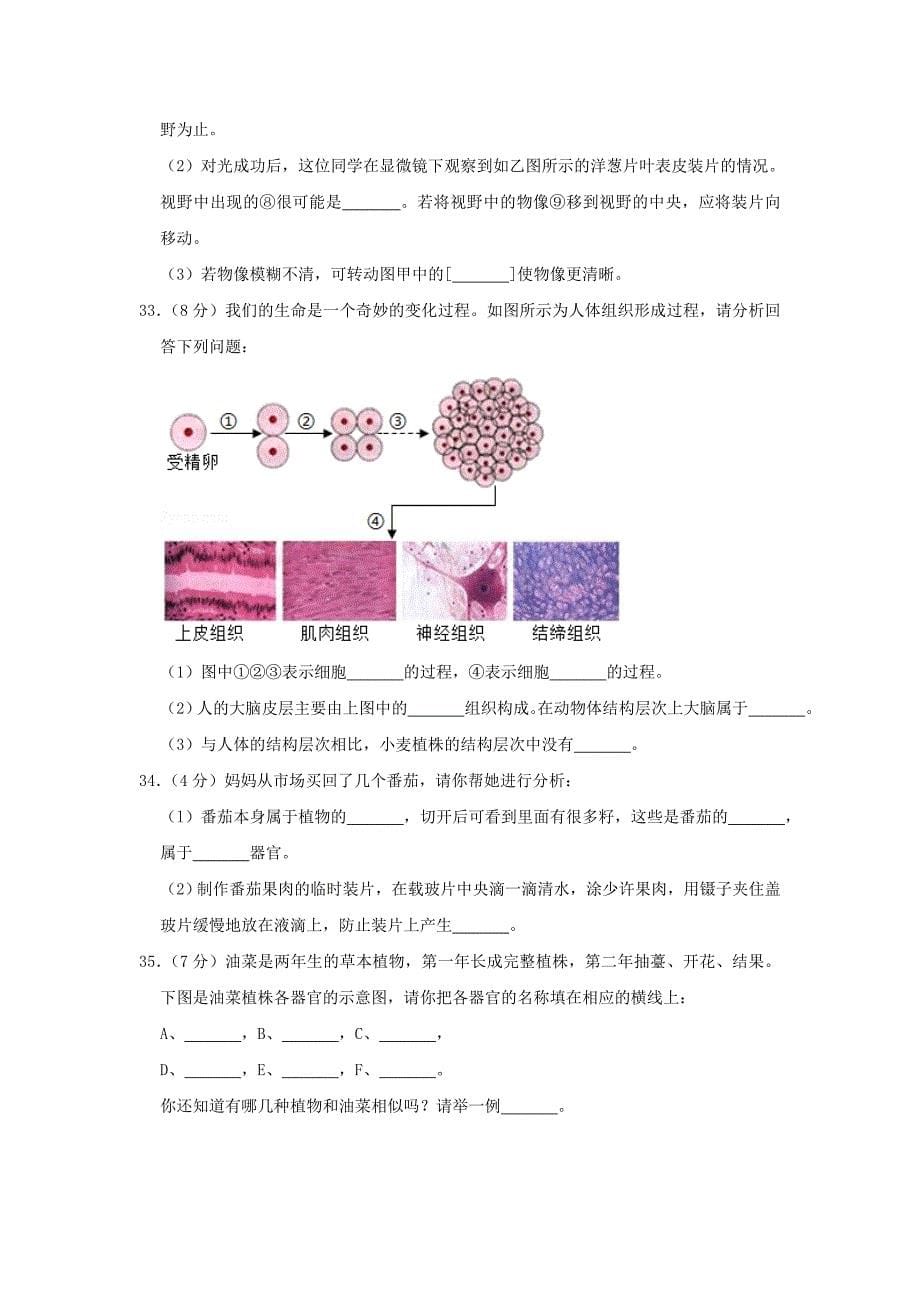 广东省河源市和平县华强中学七年级生物上学期期末试卷_第5页