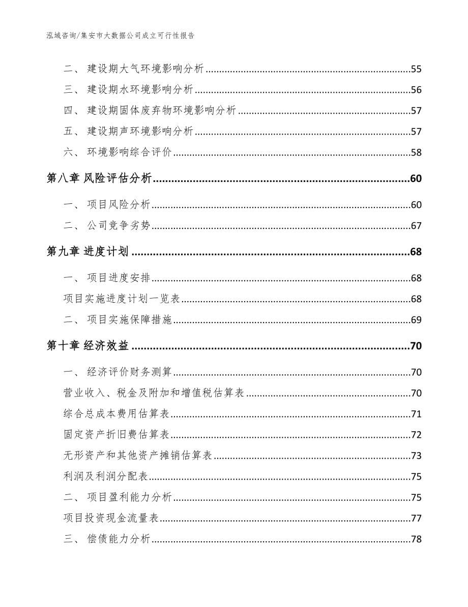 集安市大数据公司成立可行性报告【模板参考】_第5页