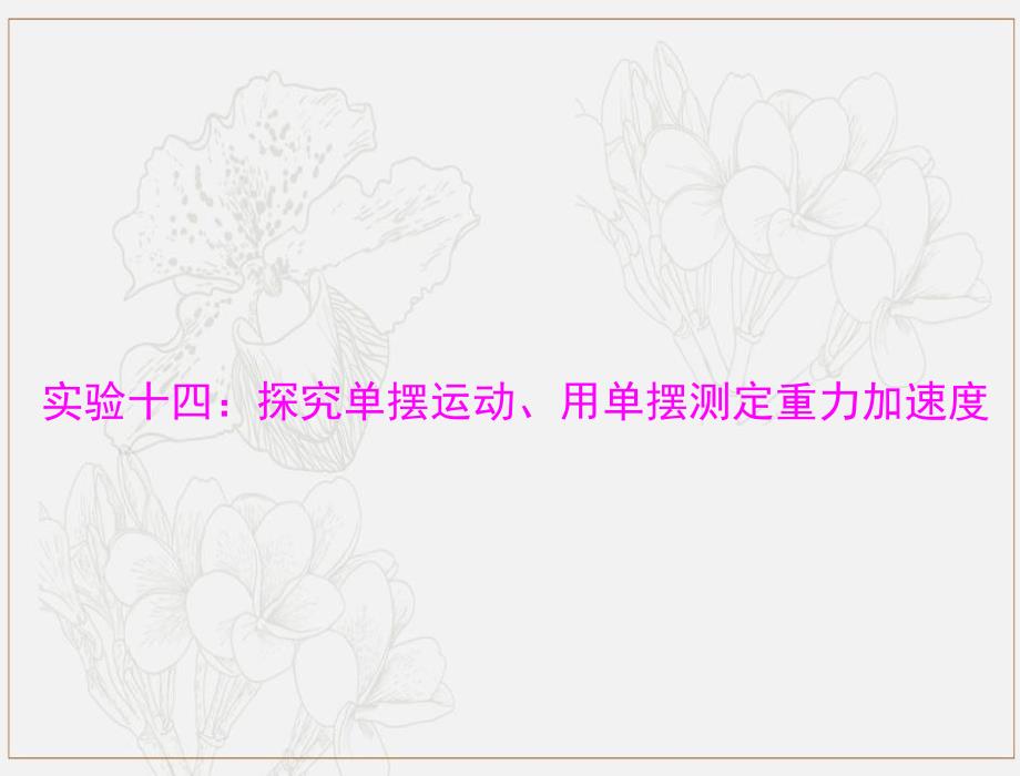 高考物理一轮复习专题十四实验十四：探究单摆运动用单摆测定重力加速度课件_第1页