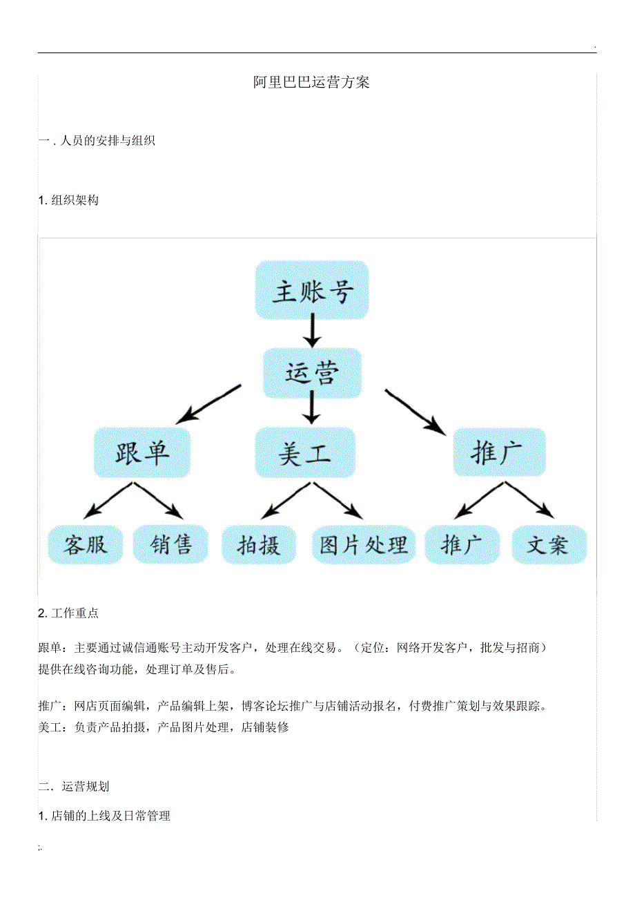 阿里运营方案_第1页