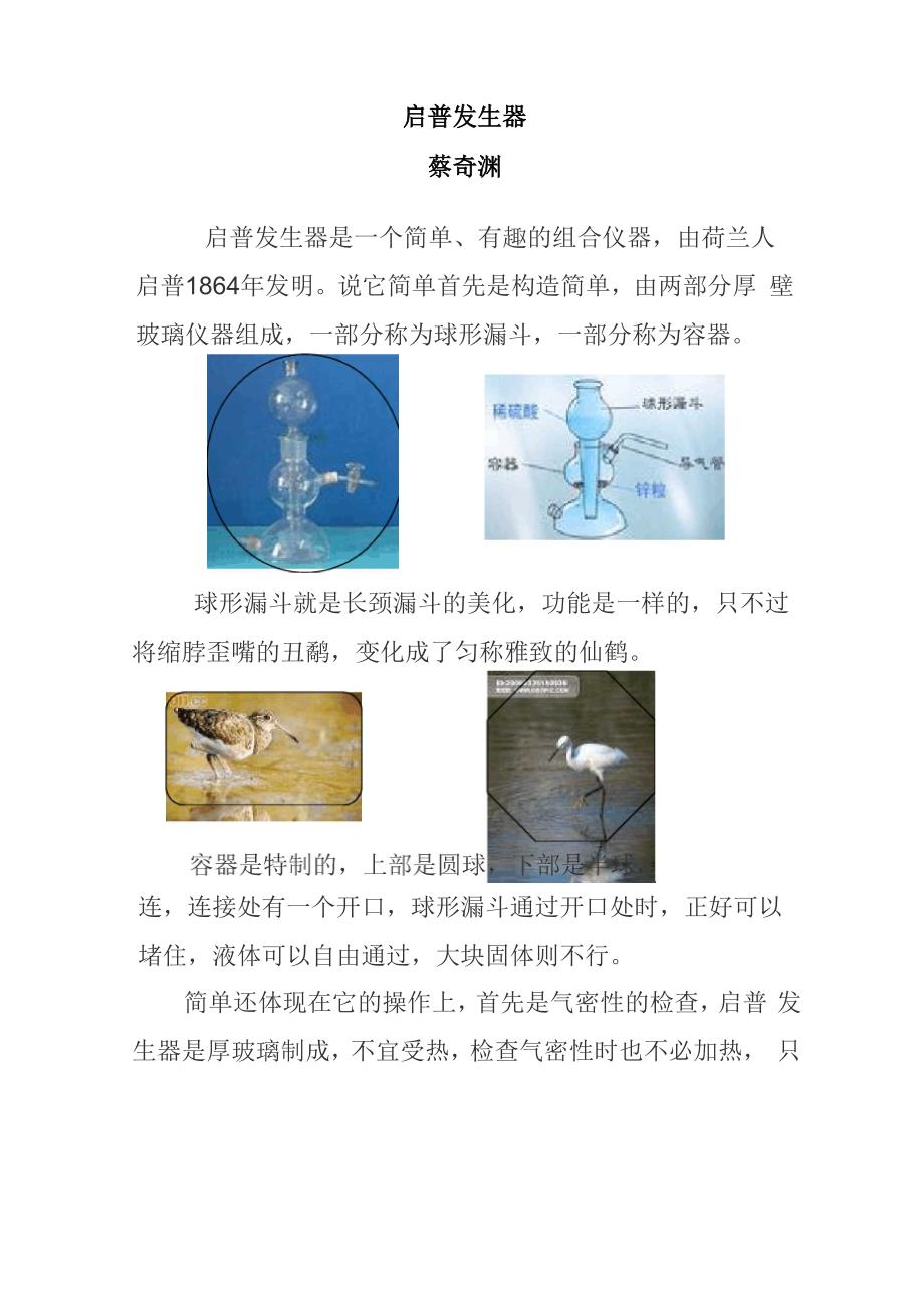 启普发生器_第1页