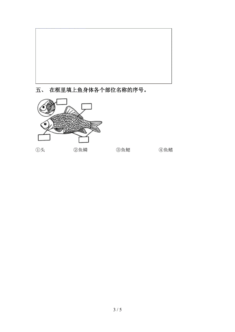 2022年人教版一年级科学上册期中试卷及答案【全面】.doc_第3页